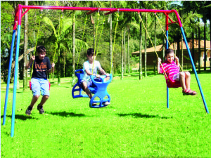 Balanço Vai e Vem Ref. 40.30