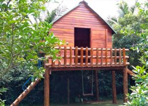 Casinha Suspensa de Ipê